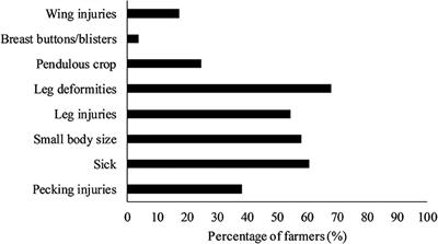 Farmers' Perceptions About Health and Welfare Issues in Turkey Production